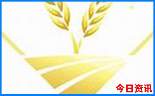 暑假适合高中生旅游的城市